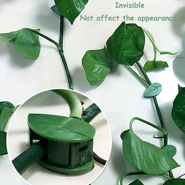 7348-plant-climbing-wall-fixture-clip-self-adhesive-hook-vines-traction-invisible-stand-green-plant-clip-garden-wall-clip-plant-support-binding-clip-plants-for-indoor-outdoor-decoration-10-pcs-set