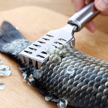 fish-scale-remover-scraper