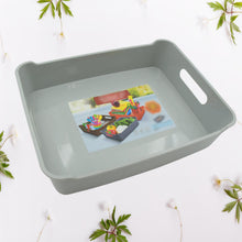 storage-plastic-trays