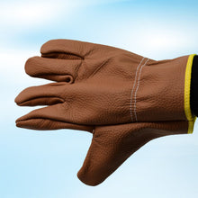 gloves-gardening-gloves-for-thorny-bushes-rose-pruning