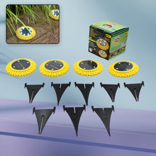 sunflower-solar-ground-led-lights