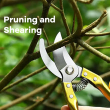 garden-shears-pruners-gardening-scissors